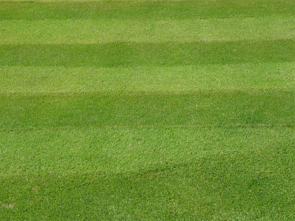 Imagen principal noticia 